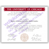 university of Chicago diploma fake production
